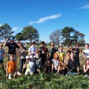 90 by 230, alien vegetation clearing, Youngsfield, KRCA